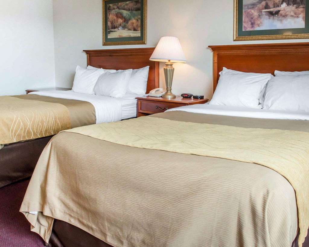 Quality Inn & Suites Нью-Касл Номер фото